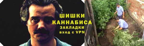 эйфоретик Богданович