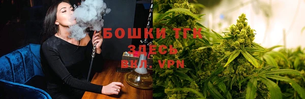 прущий лед Богородицк