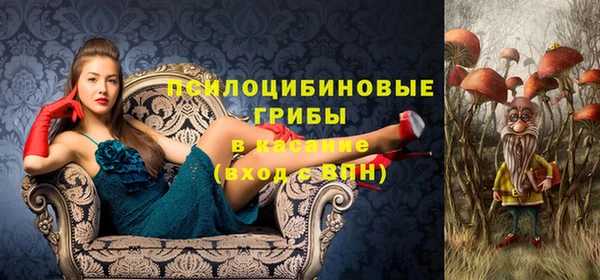 прущий лед Богородицк