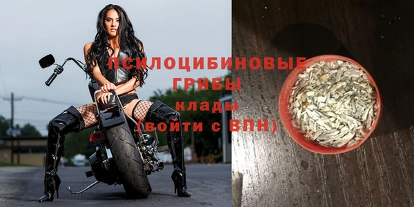MDMA Бородино